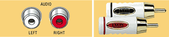 2rca.gif